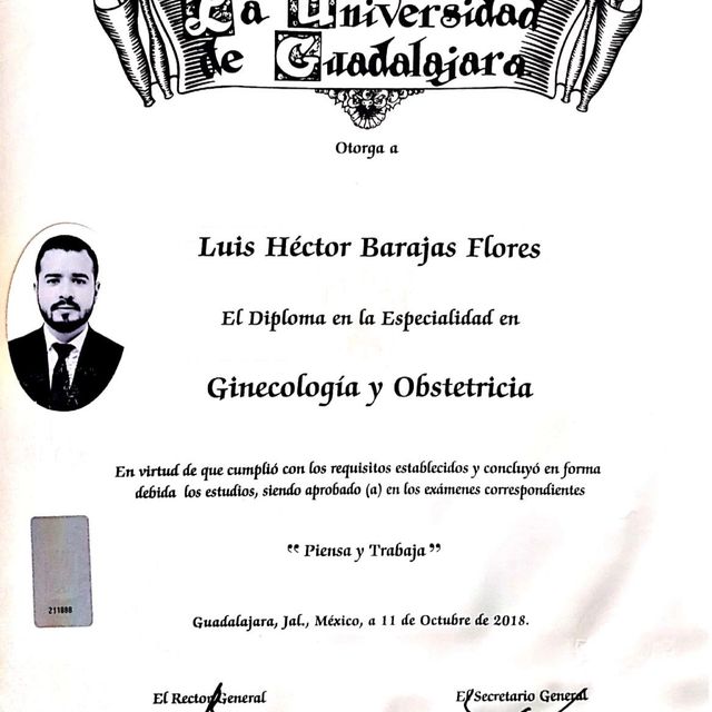 Ampliar imagen: certificate 4
