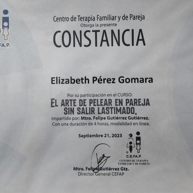 Ampliar imagen: certificate 2