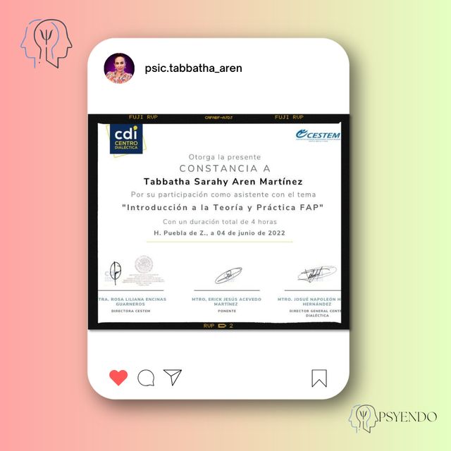 Ampliar imagen: certificate 8