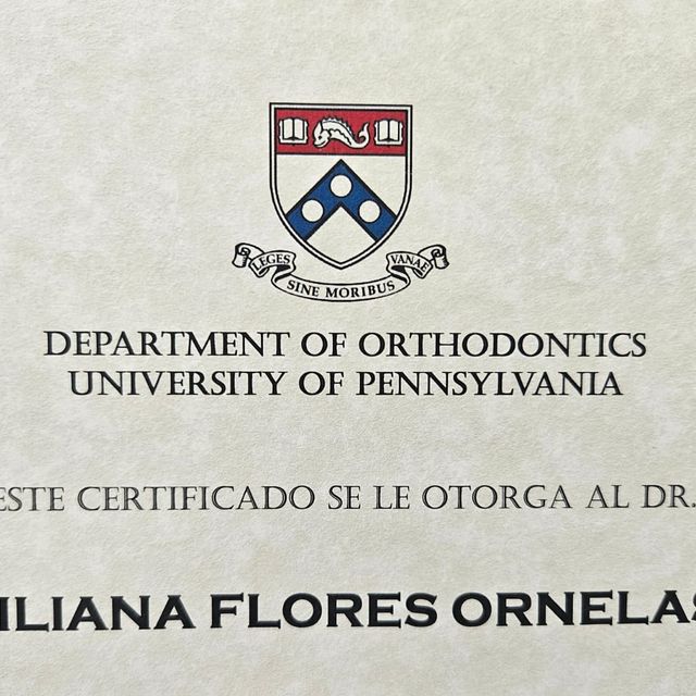 Ampliar imagen: certificate 10