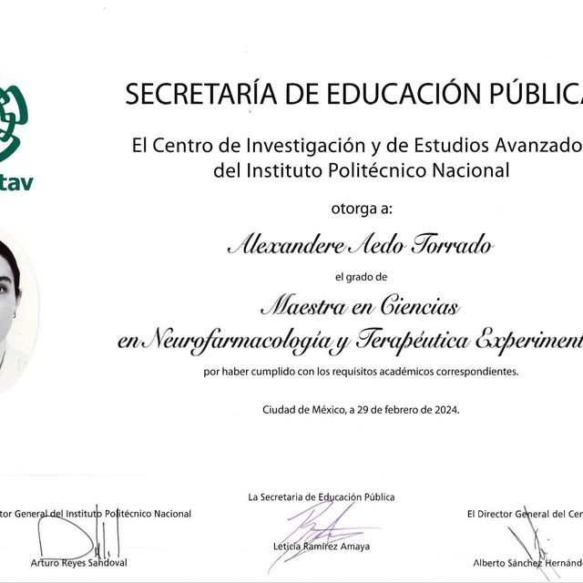 Ampliar imagen: certificate 3
