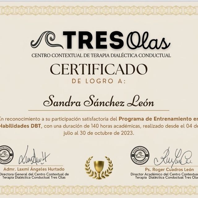 Ampliar imagen: certificate 3