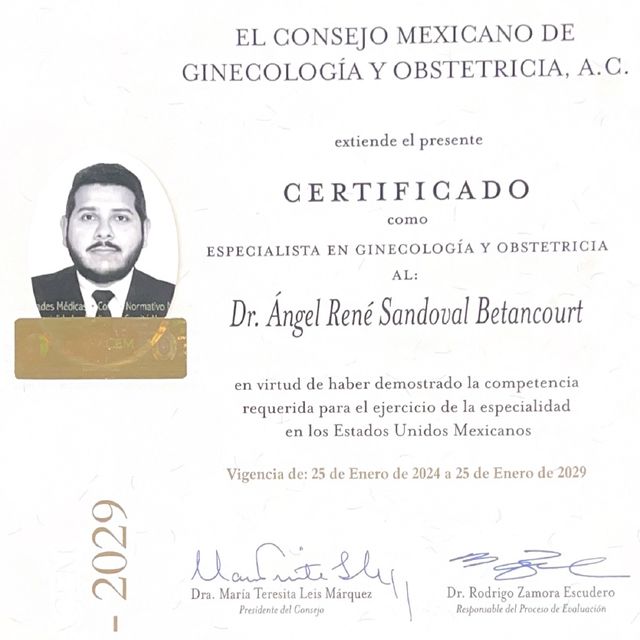Ampliar imagen: certificate 1