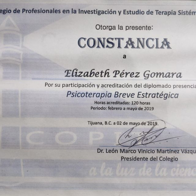 Ampliar imagen: certificate 13