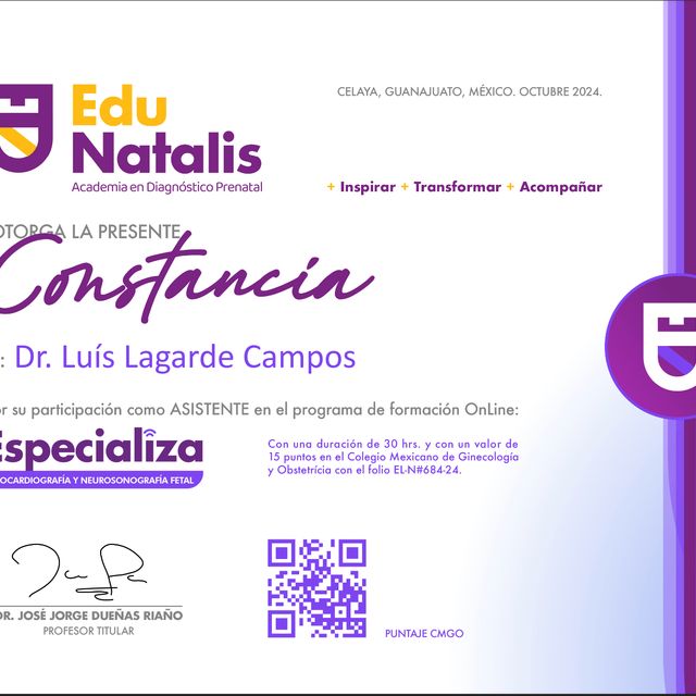 Ampliar imagen: certificate 4