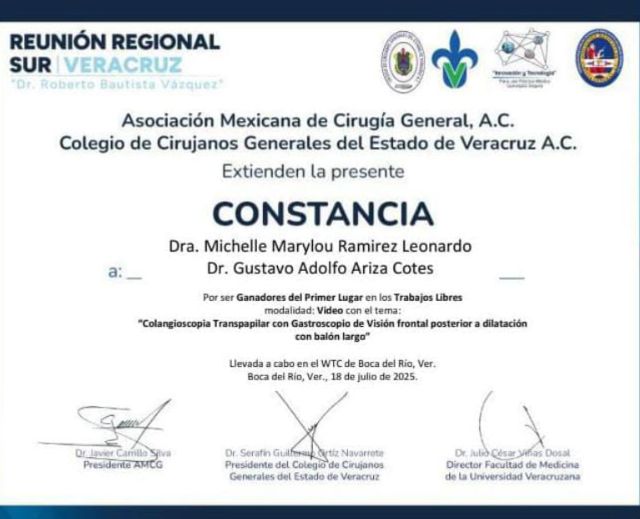Ampliar imagen: certificate 5