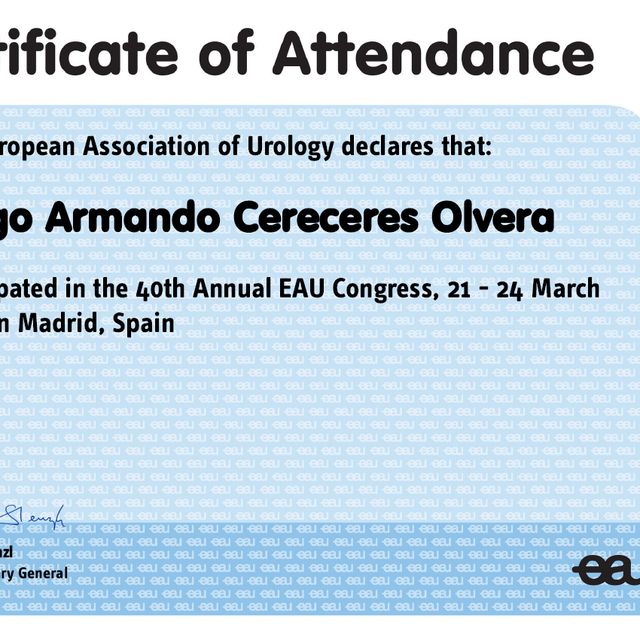 Ampliar imagen: certificate 5