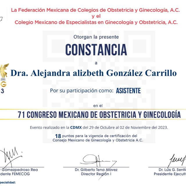 Ampliar imagen: certificate 4