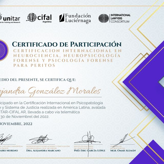 Ampliar imagen: certificate 1
