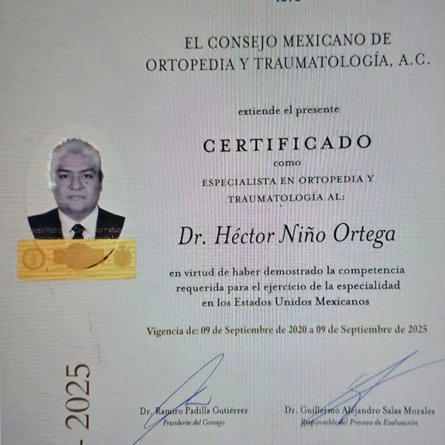 Ampliar imagen: certificate 2