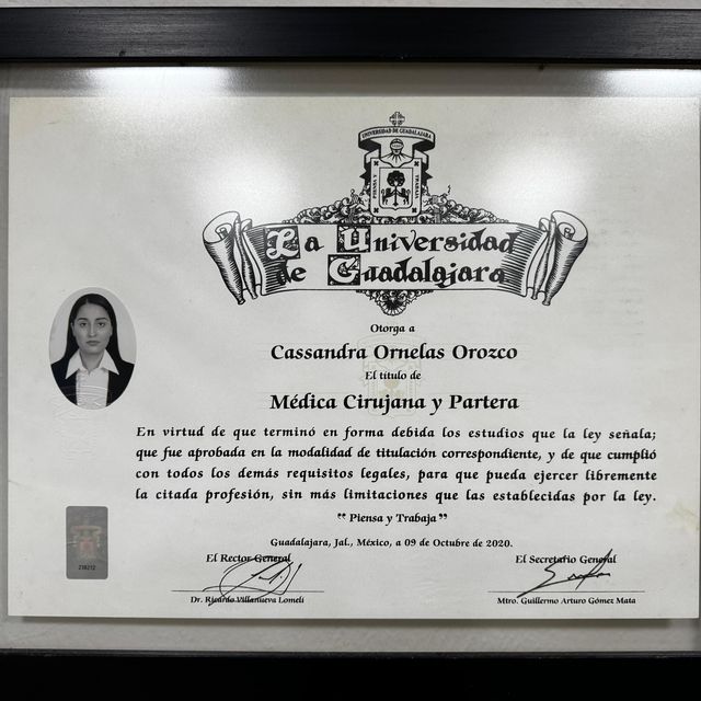 Ampliar imagen: certificate 2