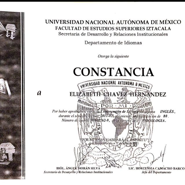 Ampliar imagen: certificate 23