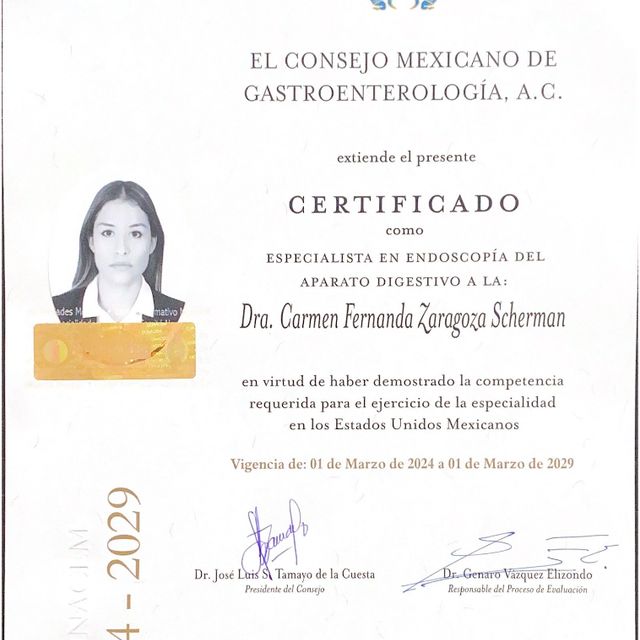Ampliar imagen: certificate 4