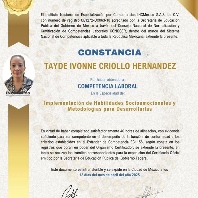 Ampliar imagen: certificate 52