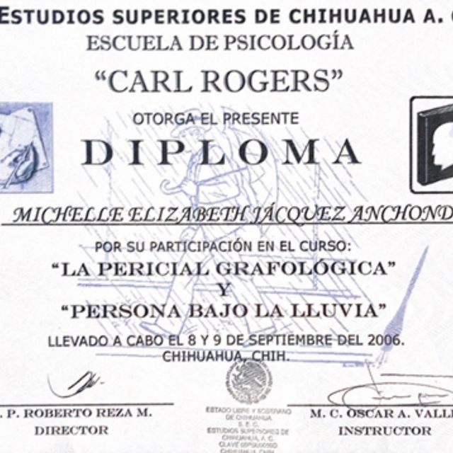 Ampliar imagen: certificate 5