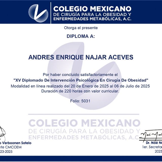 Ampliar imagen: certificate 5