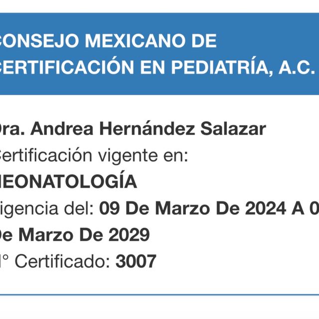 Ampliar imagen: certificate 3