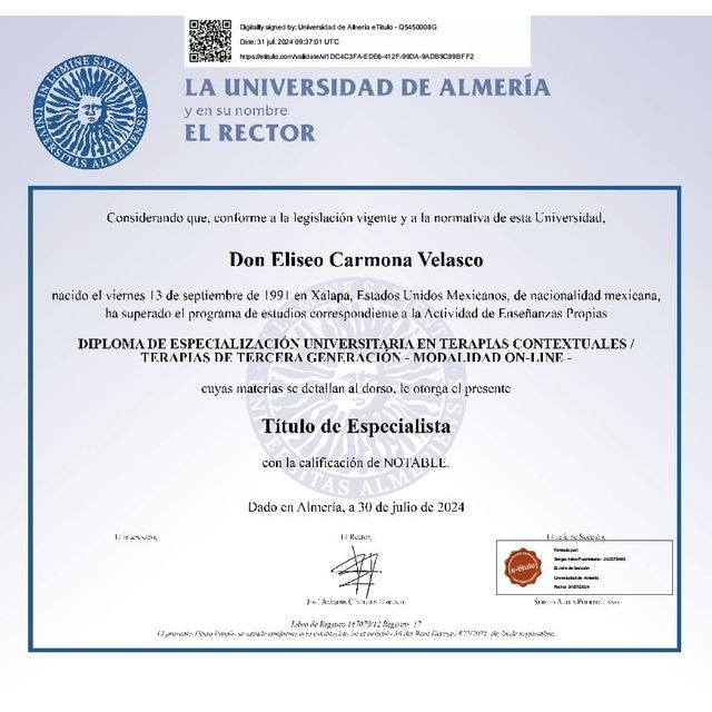 Ampliar imagen: certificate 6