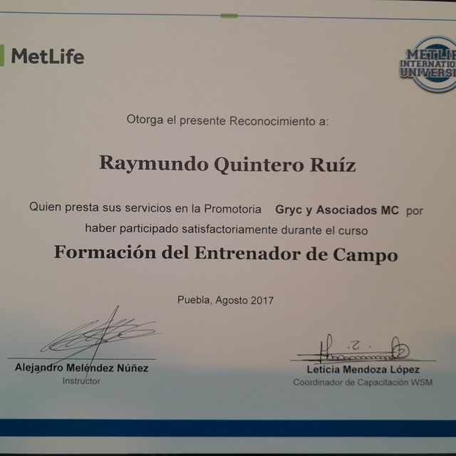 Ampliar imagen: certificate 5