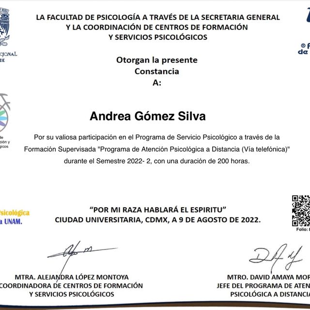 Ampliar imagen: certificate 12