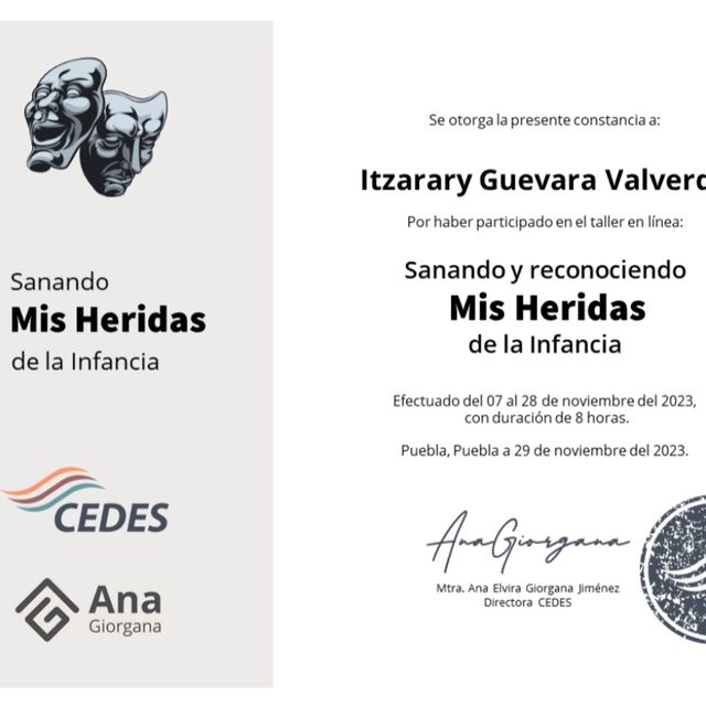Ampliar imagen: certificate 7