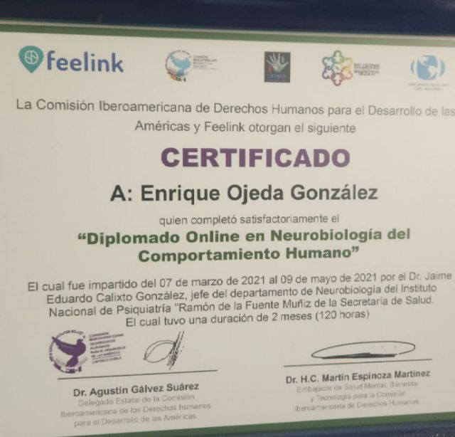 Ampliar imagen: certificate 2