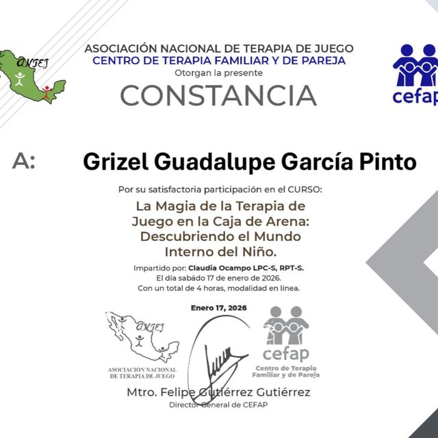 Ampliar imagen: certificate 6