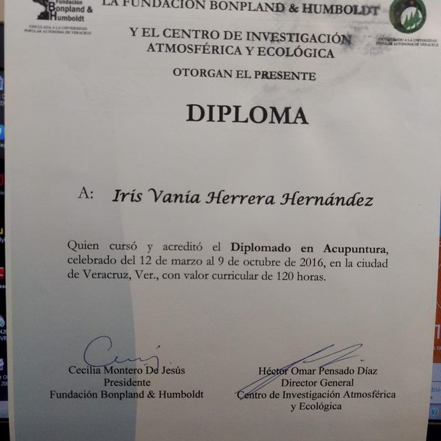 Ampliar imagen: certificate 14