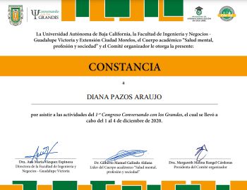 Ampliar imagen: certificate 4