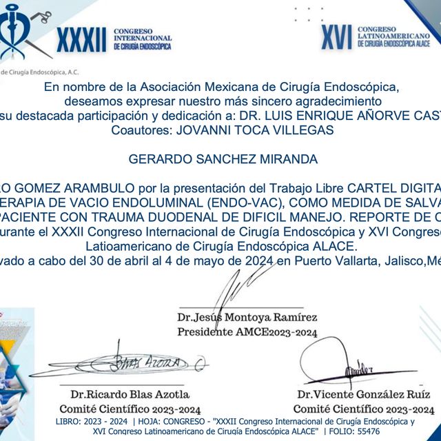 Ampliar imagen: certificate 3