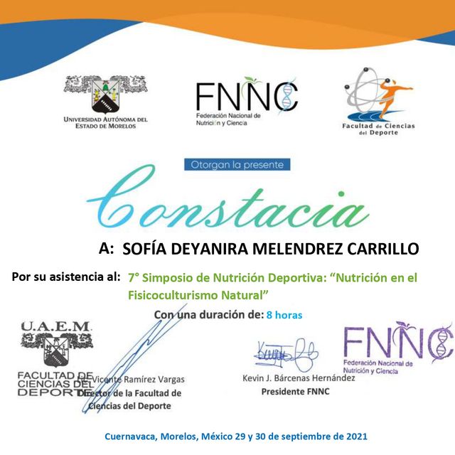 Ampliar imagen: certificate 3