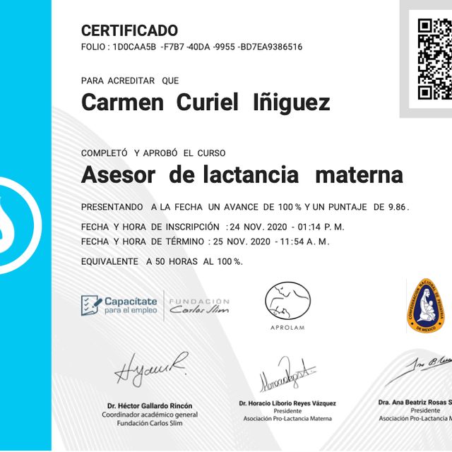 Ampliar imagen: certificate 4