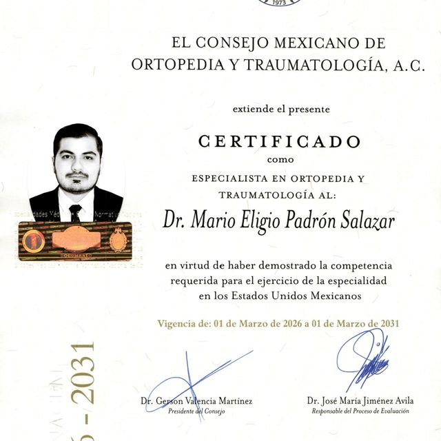 Ampliar imagen: certificate 1