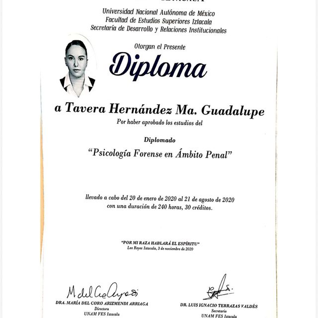 Ampliar imagen: certificate 78