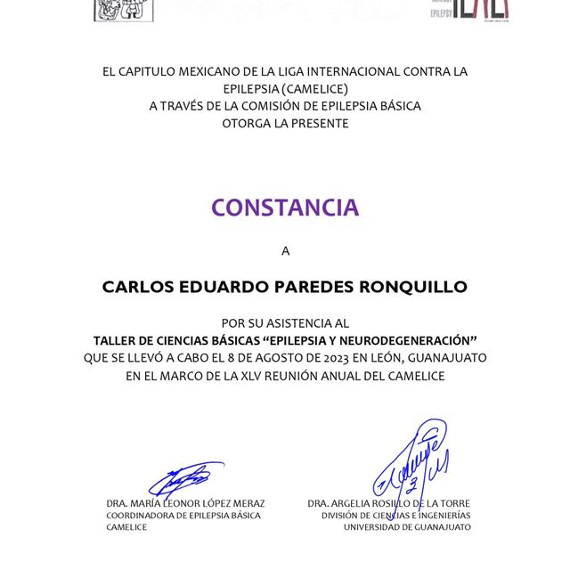 Ampliar imagen: certificate 2