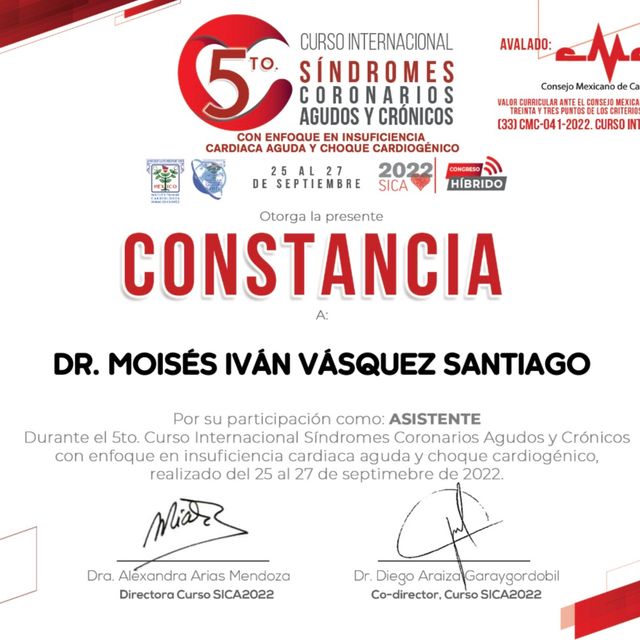 Ampliar imagen: certificate 5