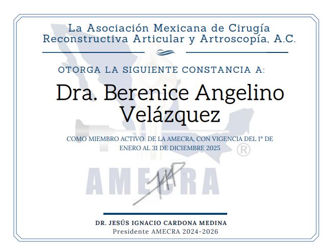 Ampliar imagen: certificate 13