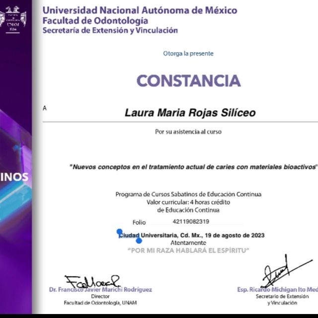 Ampliar imagen: certificate 2