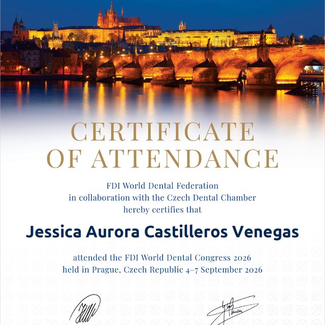 Ampliar imagen: certificate 46