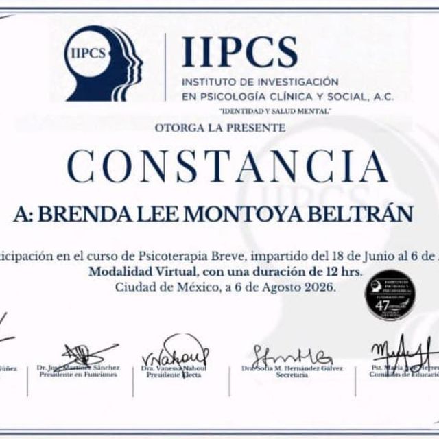 Ampliar imagen: certificate 1