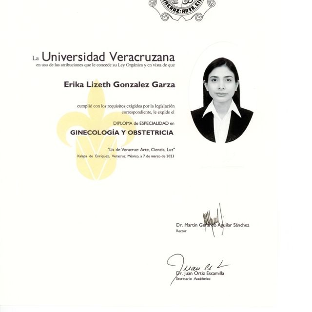 Ampliar imagen: certificate 2