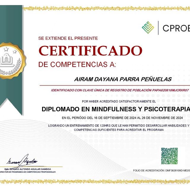 Ampliar imagen: certificate 7