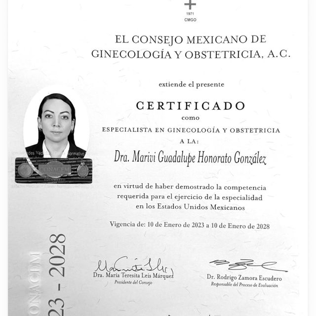 Ampliar imagen: certificate 1