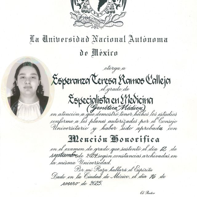 Ampliar imagen: certificate 3