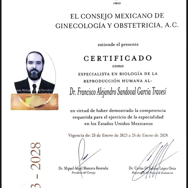 Ampliar imagen: certificate 1