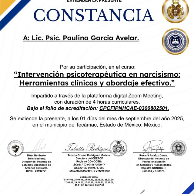Ampliar imagen: certificate 20