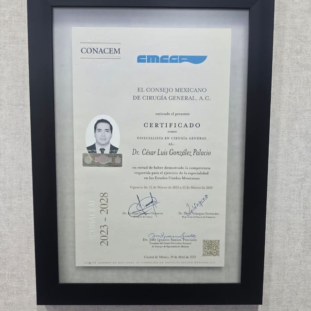 Ampliar imagen: certificate 1