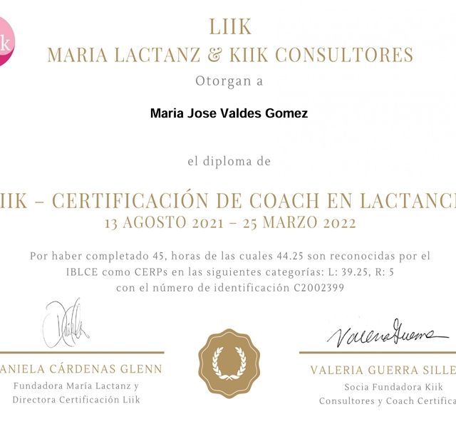 Ampliar imagen: certificate 1