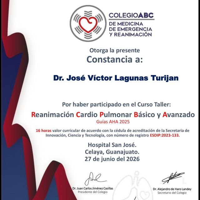 Ampliar imagen: certificate 4