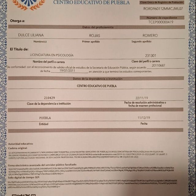 Ampliar imagen: certificate 2